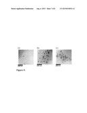 NANOPARTICLE SYNTHESIS USING PLANT EXTRACTS AND VIRUS diagram and image