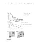 NANOPARTICLE SYNTHESIS USING PLANT EXTRACTS AND VIRUS diagram and image