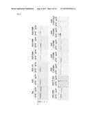 MODIFIED DNA POLYMERASE diagram and image