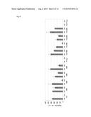 MODIFIED DNA POLYMERASE diagram and image