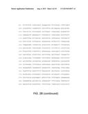 DNA POLYMERASES AND RELATED METHODS diagram and image