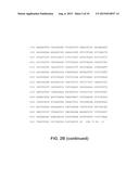 DNA POLYMERASES AND RELATED METHODS diagram and image