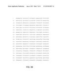 DNA POLYMERASES AND RELATED METHODS diagram and image