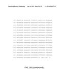 DNA POLYMERASES AND RELATED METHODS diagram and image