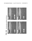 DNA POLYMERASES AND RELATED METHODS diagram and image