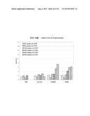 DNA POLYMERASES AND RELATED METHODS diagram and image