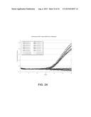 DNA POLYMERASES AND RELATED METHODS diagram and image