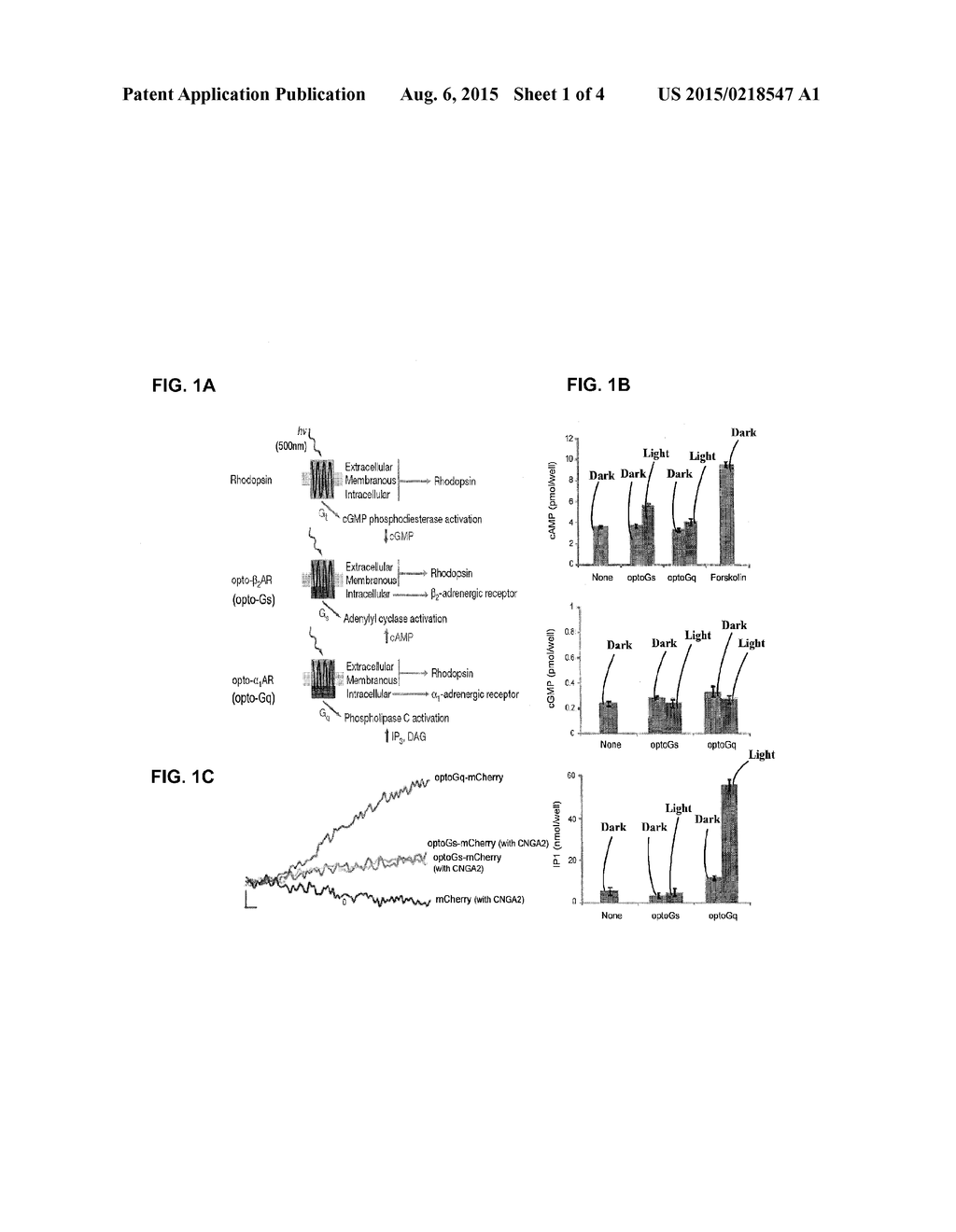 Cell Line, System and Method for Optical Control of Secondary Messengers - diagram, schematic, and image 02