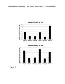 ENHANCED PRODUCTION OF ISOPRENE USING HOST CELLS HAVING DECREASED ISPA     ACTIVITY diagram and image