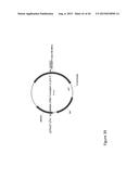 ENHANCED PRODUCTION OF ISOPRENE USING HOST CELLS HAVING DECREASED ISPA     ACTIVITY diagram and image