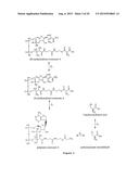 MICROBIOLOGICAL PRODUCTION OF 3-HYDROXYISOBUTYRIC ACID diagram and image