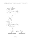 MICROBIOLOGICAL PRODUCTION OF 3-HYDROXYISOBUTYRIC ACID diagram and image