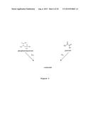 MICROBIOLOGICAL PRODUCTION OF 3-HYDROXYISOBUTYRIC ACID diagram and image