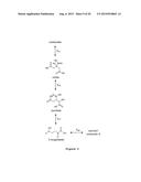 MICROBIOLOGICAL PRODUCTION OF 3-HYDROXYISOBUTYRIC ACID diagram and image