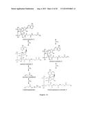 MICROBIOLOGICAL PRODUCTION OF 3-HYDROXYISOBUTYRIC ACID diagram and image