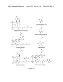 MICROBIOLOGICAL PRODUCTION OF 3-HYDROXYISOBUTYRIC ACID diagram and image