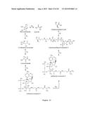 MICROBIOLOGICAL PRODUCTION OF 3-HYDROXYISOBUTYRIC ACID diagram and image