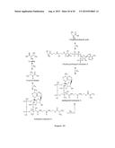 MICROBIOLOGICAL PRODUCTION OF 3-HYDROXYISOBUTYRIC ACID diagram and image