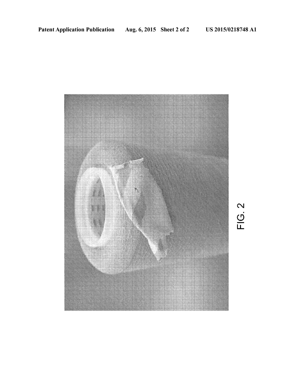 COMPOSITIONS AND METHODS FOR DYING NATURAL FIBERS WITH NATURAL DYES TO     ENSURE COLOR (HUE AND SHADE)-MATCH CONSISTENCY - diagram, schematic, and image 03