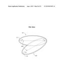 OPTICAL WAVE GUIDE HAVING MULTIPLE INDEPENDENT OPTICAL PATH AND OPTICAL     GAS SENSOR USING THAT diagram and image