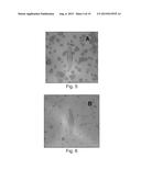 SAMPLE PREPARATION FOR SPECTROSCOPY ANALYSIS diagram and image