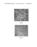 SAMPLE PREPARATION FOR SPECTROSCOPY ANALYSIS diagram and image