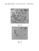 SAMPLE PREPARATION FOR SPECTROSCOPY ANALYSIS diagram and image