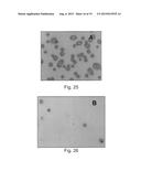 SAMPLE PREPARATION FOR SPECTROSCOPY ANALYSIS diagram and image