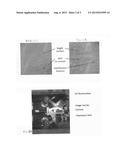 Fluorescent Contact Imaging for In-Process Print Sensing diagram and image