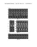 METHOD AND APPARATUS FOR SYSTEMATIC SINGLE CELL TRACKING OF DISTINCTIVE     CELLULAR EVENTS diagram and image