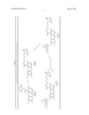 INTRACELLULAR ORGANELLE PEPTIDE TARGETED ENZYME SUBSTRATES diagram and image