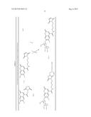 INTRACELLULAR ORGANELLE PEPTIDE TARGETED ENZYME SUBSTRATES diagram and image