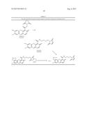 INTRACELLULAR ORGANELLE PEPTIDE TARGETED ENZYME SUBSTRATES diagram and image