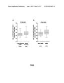 PRE-TRANSPLANT IgG REACTIVITY TO APOPTOTIC CELLS CORRELATES WITH LATE     KIDNEY ALLOGRAFT LOSS diagram and image