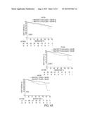 PRE-TRANSPLANT IgG REACTIVITY TO APOPTOTIC CELLS CORRELATES WITH LATE     KIDNEY ALLOGRAFT LOSS diagram and image