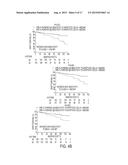 PRE-TRANSPLANT IgG REACTIVITY TO APOPTOTIC CELLS CORRELATES WITH LATE     KIDNEY ALLOGRAFT LOSS diagram and image