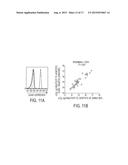 PRE-TRANSPLANT IgG REACTIVITY TO APOPTOTIC CELLS CORRELATES WITH LATE     KIDNEY ALLOGRAFT LOSS diagram and image