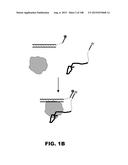 BIOSENSORS FOR DETECTING MACROMOLECULES AND OTHER ANALYTES diagram and image