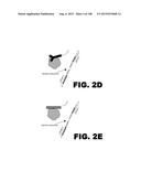 BIOSENSORS FOR DETECTING MACROMOLECULES AND OTHER ANALYTES diagram and image