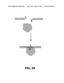 BIOSENSORS FOR DETECTING MACROMOLECULES AND OTHER ANALYTES diagram and image