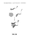 BIOSENSORS FOR DETECTING MACROMOLECULES AND OTHER ANALYTES diagram and image