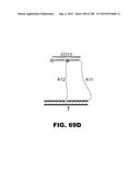 BIOSENSORS FOR DETECTING MACROMOLECULES AND OTHER ANALYTES diagram and image