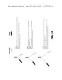 BIOSENSORS FOR DETECTING MACROMOLECULES AND OTHER ANALYTES diagram and image