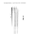 BIOSENSORS FOR DETECTING MACROMOLECULES AND OTHER ANALYTES diagram and image