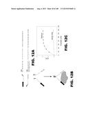 BIOSENSORS FOR DETECTING MACROMOLECULES AND OTHER ANALYTES diagram and image