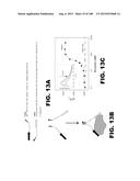 BIOSENSORS FOR DETECTING MACROMOLECULES AND OTHER ANALYTES diagram and image