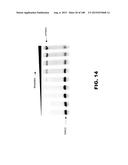 BIOSENSORS FOR DETECTING MACROMOLECULES AND OTHER ANALYTES diagram and image