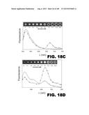 BIOSENSORS FOR DETECTING MACROMOLECULES AND OTHER ANALYTES diagram and image