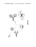 BIOSENSORS FOR DETECTING MACROMOLECULES AND OTHER ANALYTES diagram and image