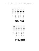 BIOSENSORS FOR DETECTING MACROMOLECULES AND OTHER ANALYTES diagram and image